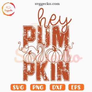 Hey Pumpkin SVG, Fall SVG, Halloween SVG, Pumpkin Season SVG PNG Cut Files